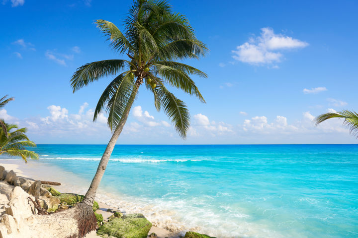 BERLIN → PLAYA DEL CARMEN