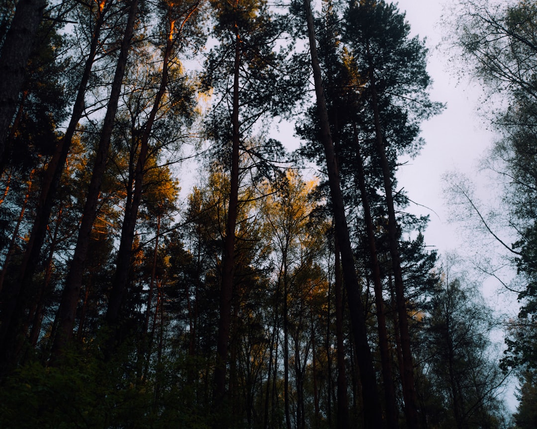 POLSKA → BUSKO-ZDRÓJ